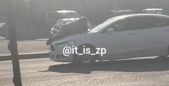Провіз військового на капоті авто: правоохоронці розповіли подробиці інциденту на дорозі в Запоріжжі, — ВІДЕО