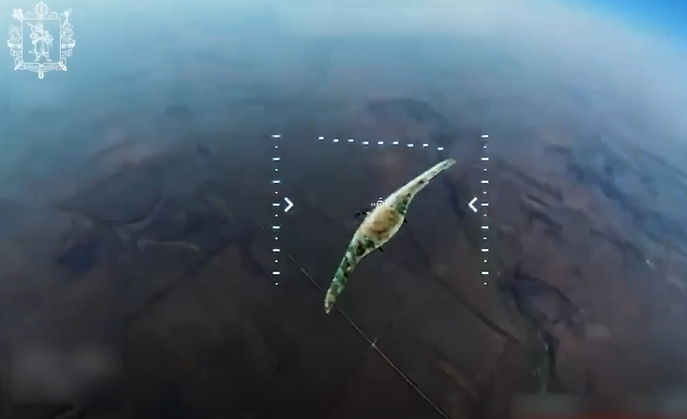 Оборонці знищують ворожі дрони у запорізькому небі: відео ударів по техніці окупантів