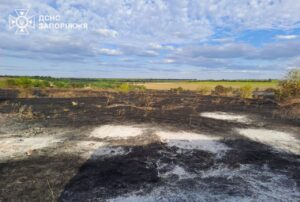 У Запорізькому районі горіло 1,5 га сухої трави: вогонь перекинувся на дачі, загинула жінка, — ФОТО