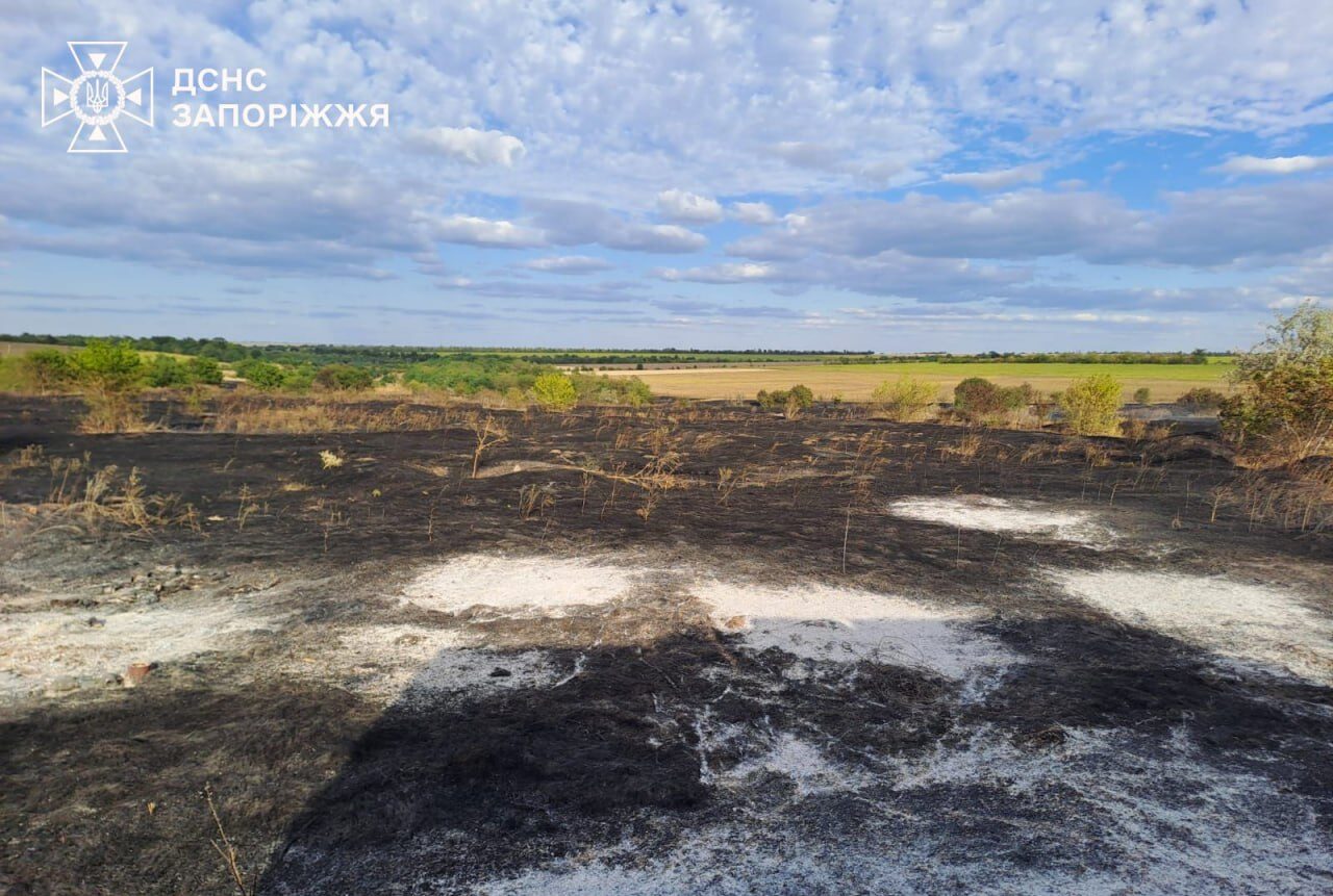 У Запорізькому районі горіло 1,5 га сухої трави: вогонь перекинувся на дачі, загинула жінка, — ФОТО