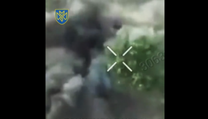 Допомогли піхоті: оператори БпЛА прикрили побратимів під час стрілецького бою на запорізькому фронті, — ВІДЕО