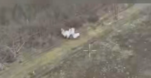 Уничтоженная техника и разбитые укрытия: появились новые кадры ударов по врагу на Запорожском направлении