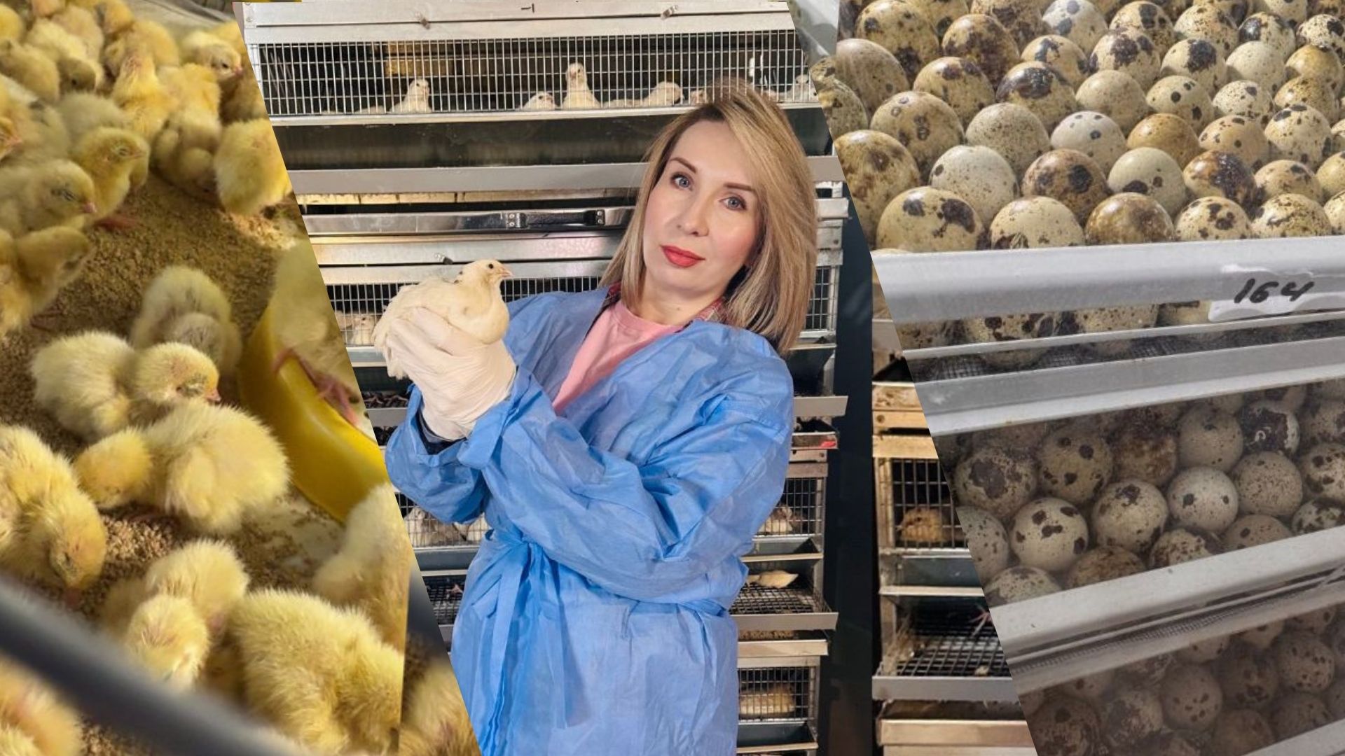 Як бухгалтерка Тетяна Липницька здійснила дитячу мрію і створила перепелину ферму в Запоріжжі