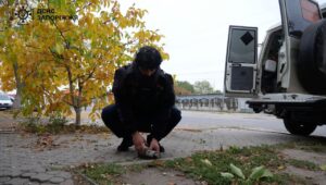 В центре запорожского поселка обнаружили кассетные боеприпасы, которыми враг ночью обстрелял населенный пункт, — ФОТО, ВИДЕО