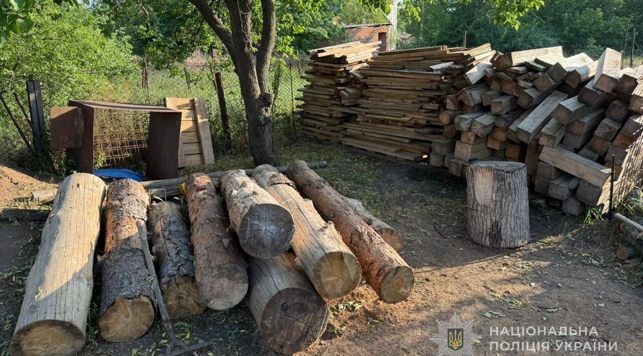 Екологічні збитки на понад 830 тисяч гривень: у Запорізькій області затримали «чорних» лісорубів, — ФОТО