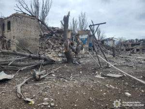 Зруйновано будинки мирних мешканців: наслідки ворожих ударів по Запорізькій області 4 листопада, — ФОТО