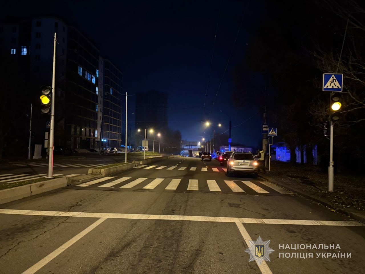 У центрі Запоріжжя насмерть збили пішохода: водій залишив місце ДТП, його розшукують, — ФОТО