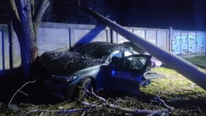 В Запорожье легковушка врезалась в электроопору: два человека погибли, еще двоих доставили в больницу, — ФОТО