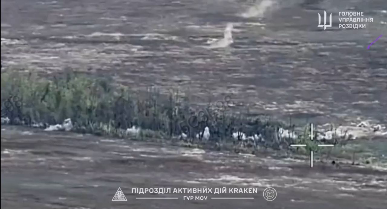 Уничтожены укрытия и бронетехника оккупантов в Запорожской области: бойцы подразделения Kraken ликвидируют врага, - ВИДЕО