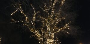 На захопленій території Запорізької області співробітників окупаційних адміністрацій зобов’язали прикрашати адмінбудівлі власним коштом