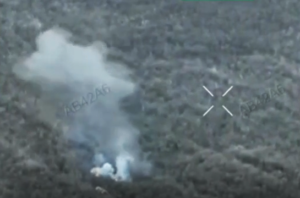 Чітко та швидко: батальйон безпілотних систем показав, як знищує ворога на Гуляйпільському напрямку, — ВІДЕО