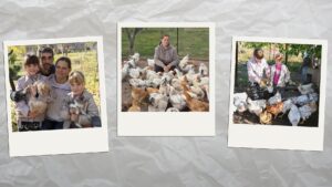 Создала птичью ферму – после 10 лет в 