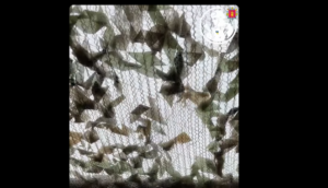 Более ста километров на семи участках: в Запорожской области продолжают строить антидроновые тоннели, — ВИДЕО