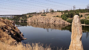 Наслідки війни: природно-заповідному фонду Запорізької області завдано збитків на понад 1,6 млрд грн