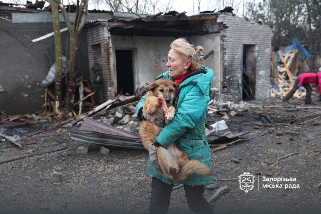 Внаслідок атаки Запоріжжя пошкоджено притулок для собак: поранено співробітників та є загиблі тварини, — ФОТО, ВІДЕО