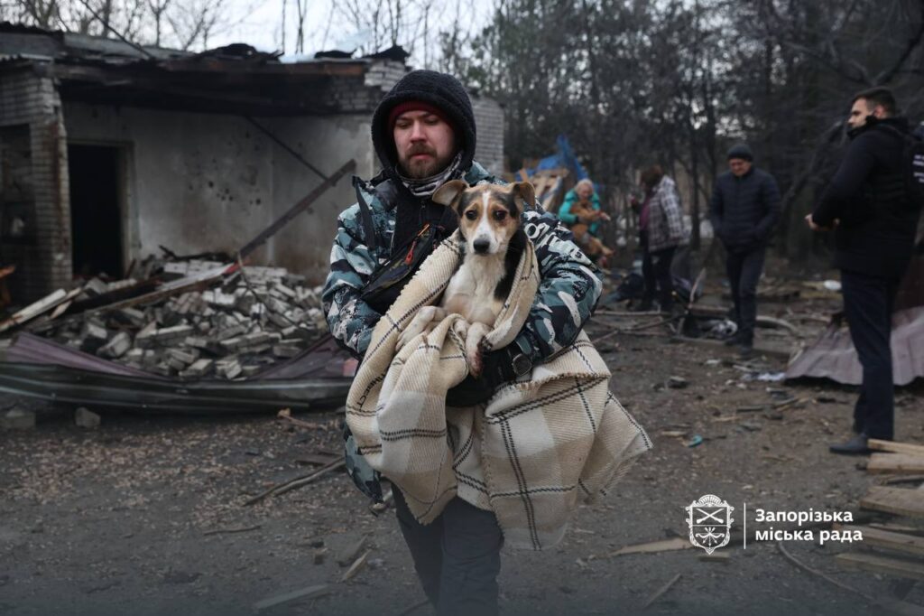 Внаслідок атаки Запоріжжя пошкоджено притулок для собак: поранено співробітників та є загиблі тварини, — ФОТО, ВІДЕО