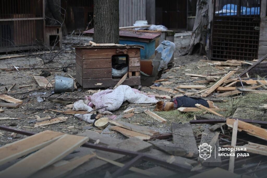 Внаслідок атаки Запоріжжя пошкоджено притулок для собак: поранено співробітників та є загиблі тварини, — ФОТО, ВІДЕО