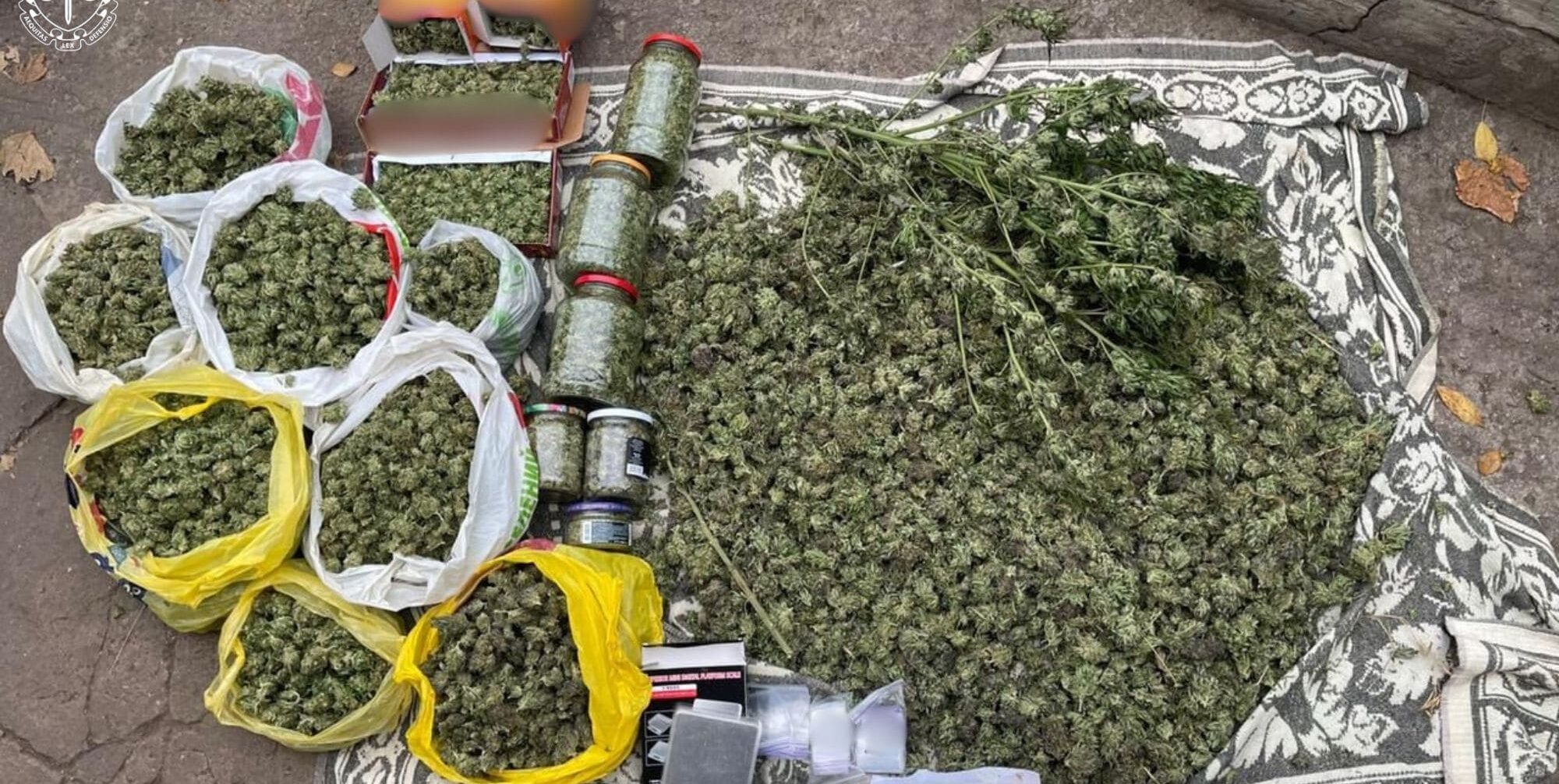 Продаж наркотичного засобу: у Запоріжжі припинили діяльність злочинного угрупування, — ФОТО, ВІДЕО