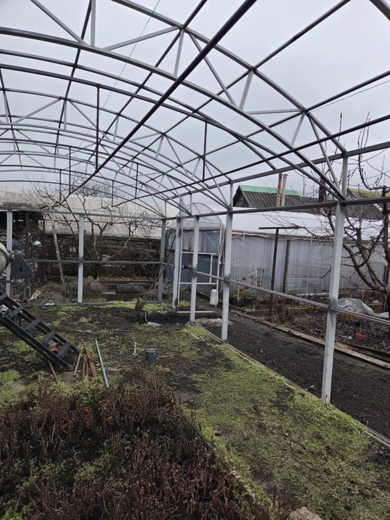 Хобі, яке переросло в бізнес: історія квіткового господарства Тетяни Дівчук із Запоріжжя