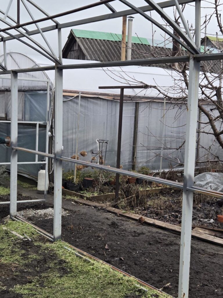 Хобі, яке переросло в бізнес: історія квіткового господарства Тетяни Дівчук із Запоріжжя