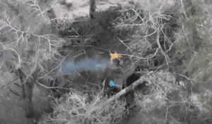 Знищили антени, систему спостереження та укриття: бердянські прикордонники показали нові удари по ворогу на Півдні, — ВІДЕО