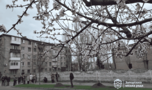 В Запорожье высадили именные липы в честь двух бойцов полка «Азов», — ФОТО, ВИДЕО