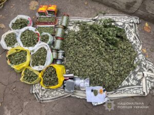 Ежемесячный доход более 1 млн грн: в Запорожье будут судить участников организованной группы за продажу каннабиса