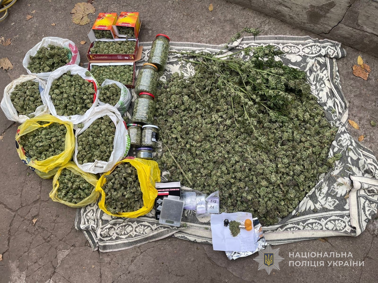 Ежемесячный доход более 1 млн грн: в Запорожье будут судить участников организованной группы за продажу каннабиса