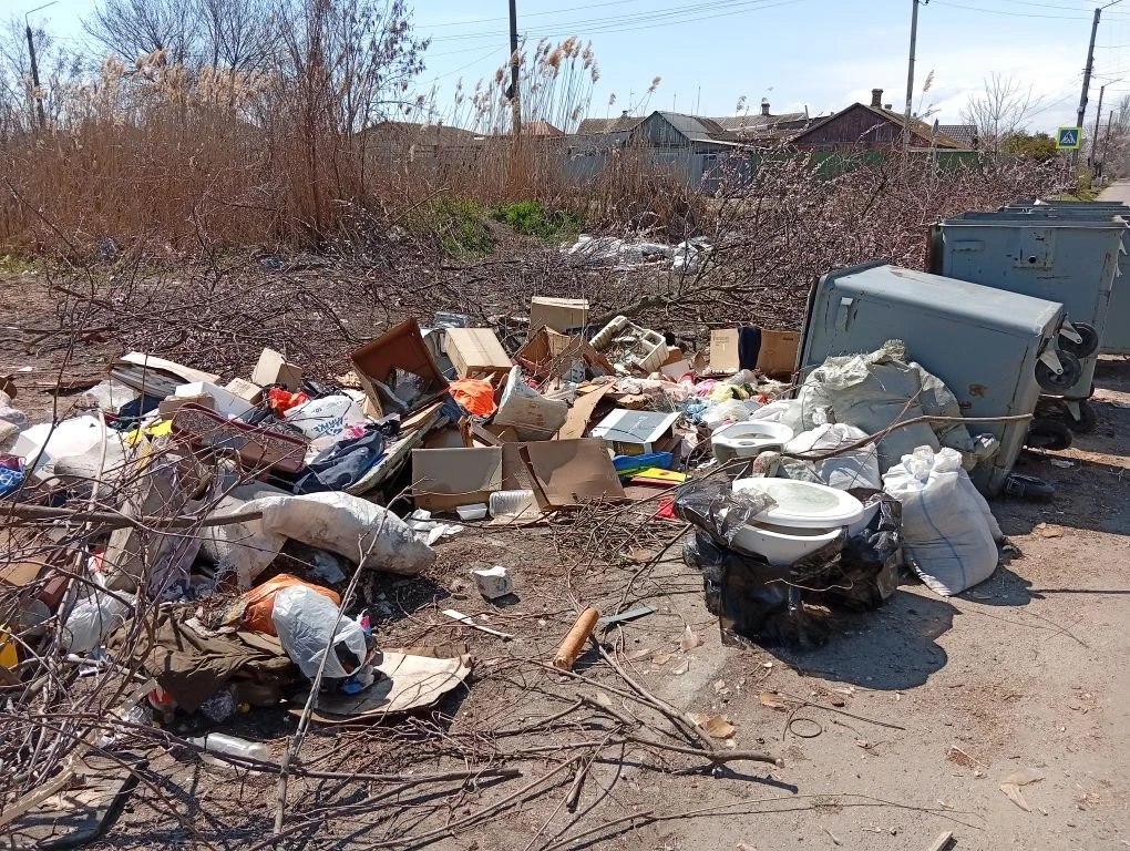 В окупованому Бердянську зростає проблема стихійних звалищ (ФОТО)