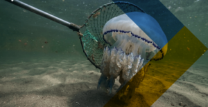 Азов під ударом: окупанти готують новий екологічний експеримент заради прибутку