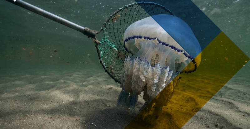 Азов під ударом: окупанти готують новий екологічний експеримент заради прибутку