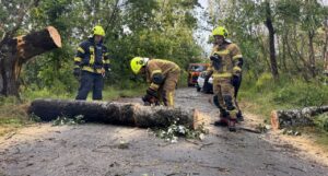 Дерева падали на дорогу: наслідки вчорашньої негоди у Запоріжжі, — ФОТО, ВІДЕО