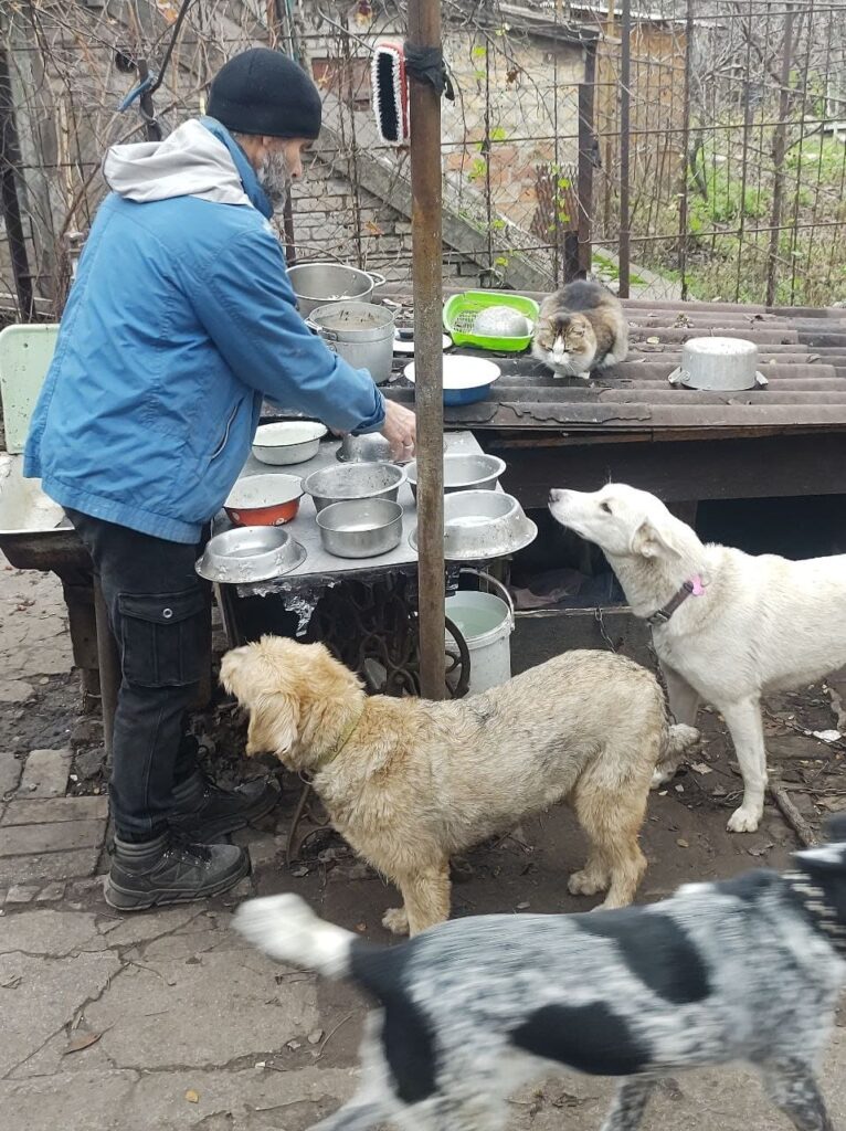 Притулок тварин родини Селезньових Запоріжжя