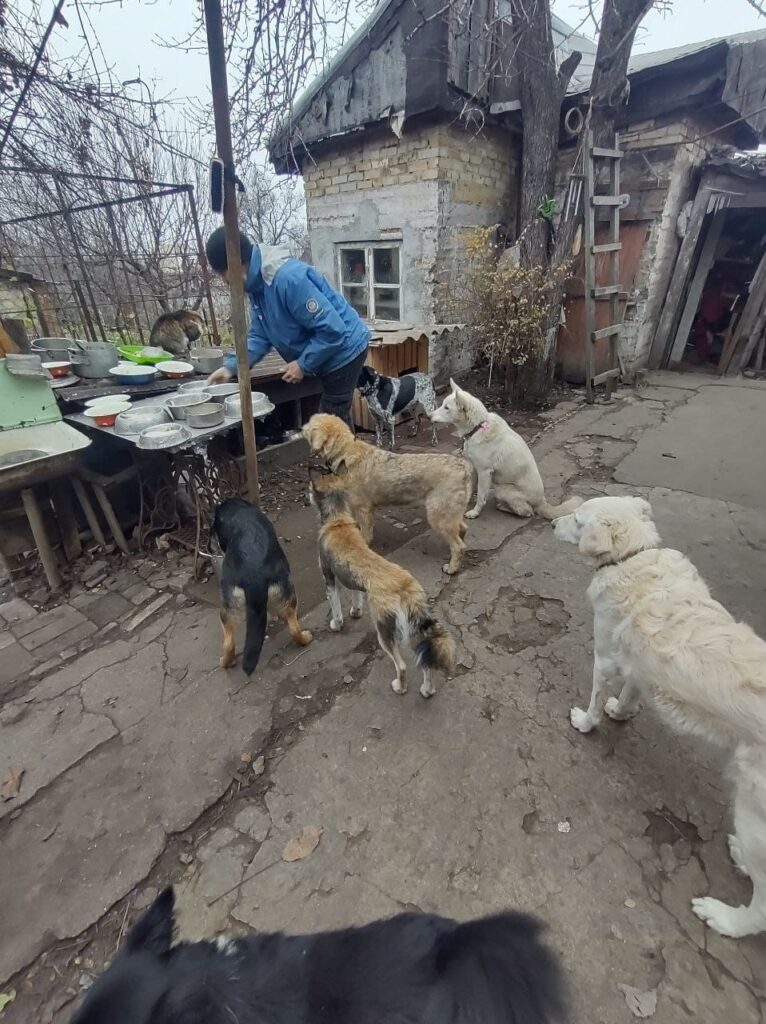 Притулок тварин родини Селезньових Запоріжжя