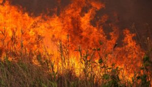 Ворог знову вдарив по Запоріжжю: містяни бачать дим від пожежі, — ФОТО, ВІДЕО