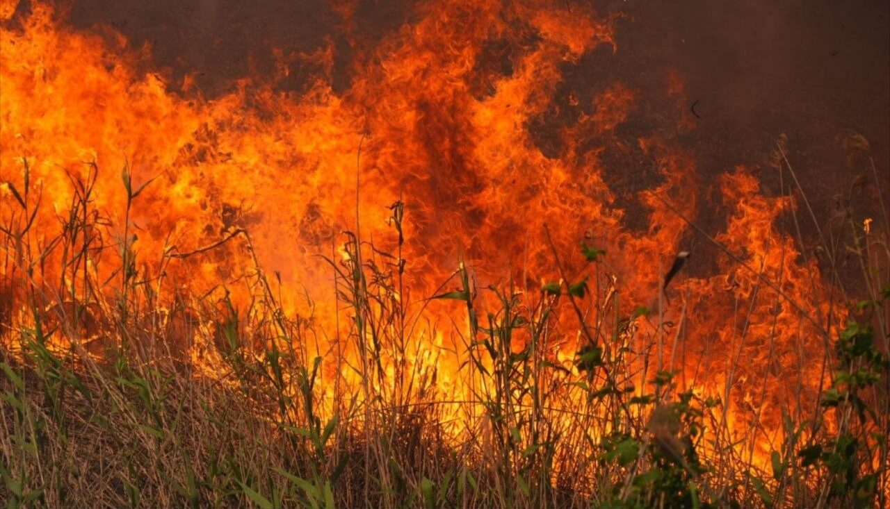 Ворог знову вдарив по Запоріжжю: містяни бачать дим від пожежі, — ФОТО, ВІДЕО