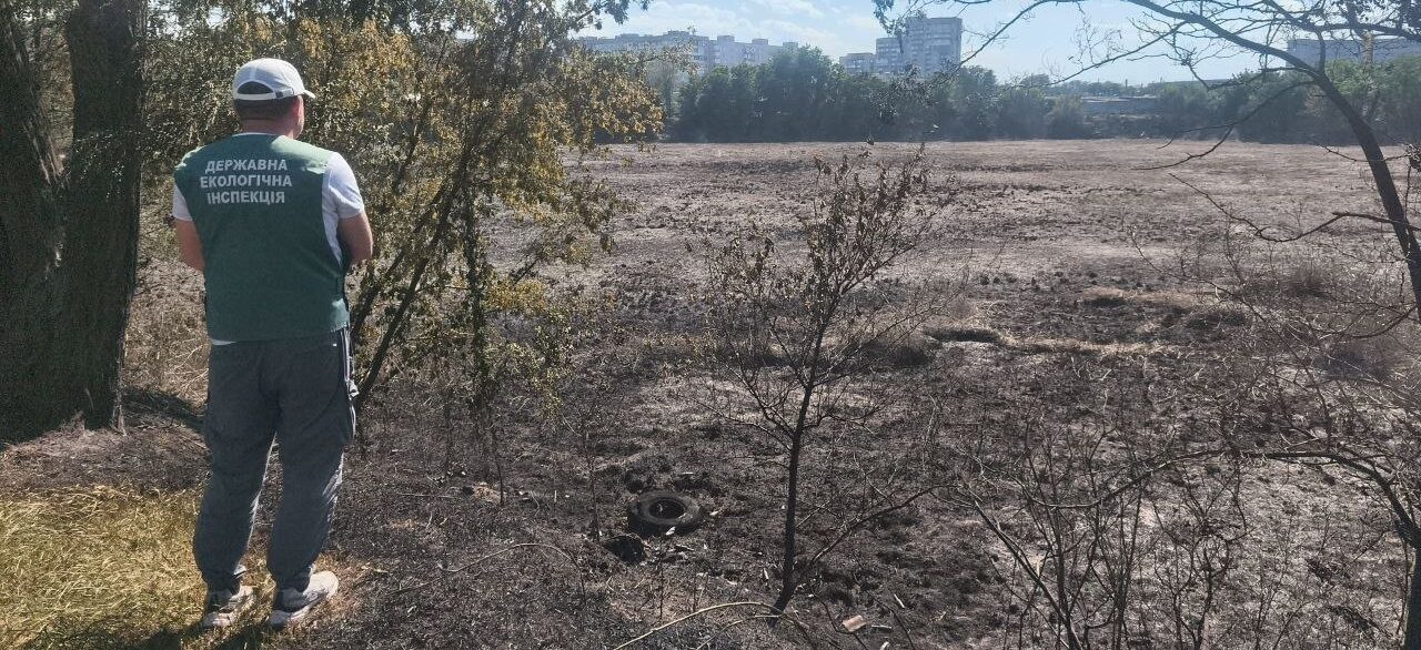 Дроновая атака в Космическом районе Запорожья: из-за пожара уничтожено около гектара растительности, — ФОТО