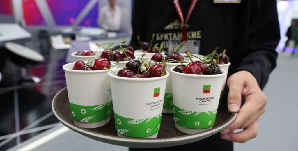 Мелітопольську черешню представили на Петербурзькому міжнародному економічному форумі, червень 2023 року.