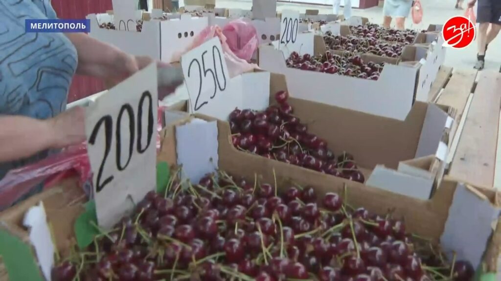 Ціни на черешню в окупованому Мелітополі у червні 2026 року