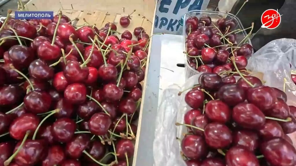 Ціни на черешню в окупованому Мелітополі у червні 2026 року