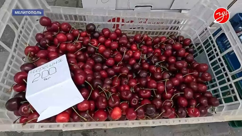 Ціни на черешню в окупованому Мелітополі у червні 2026 року