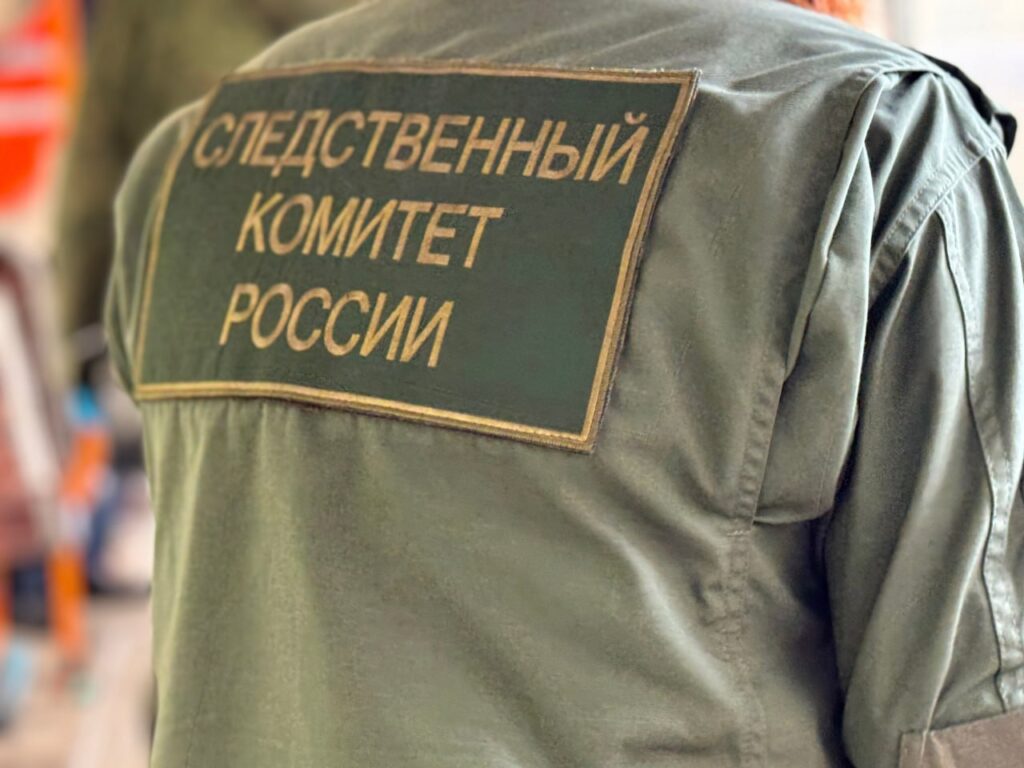 Слідчий комітет Росії, переслідування та незаконні ув'язнення жителів окупованої Запорізької області за активність у соцмережах