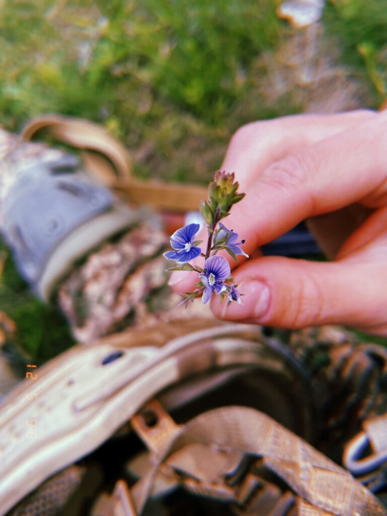 Вікторія Сімонова Запоріжжя