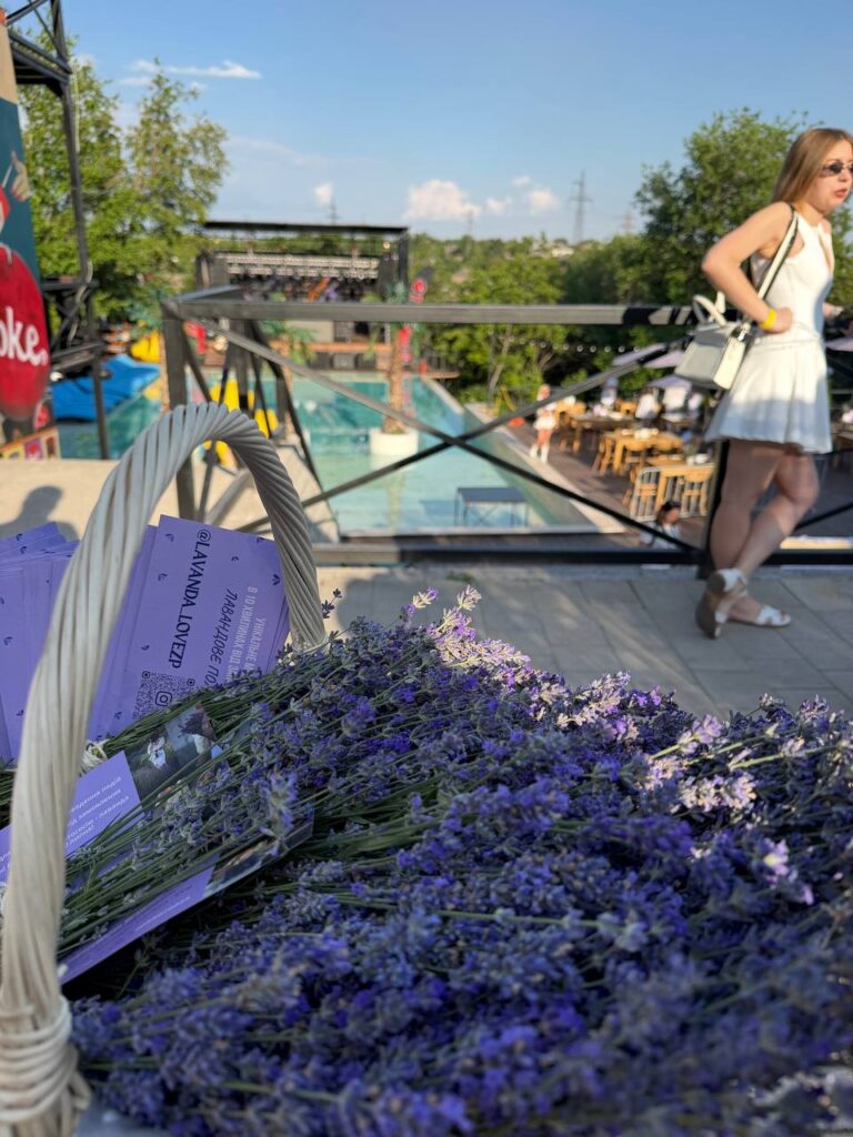 Лаванда Запорізька область