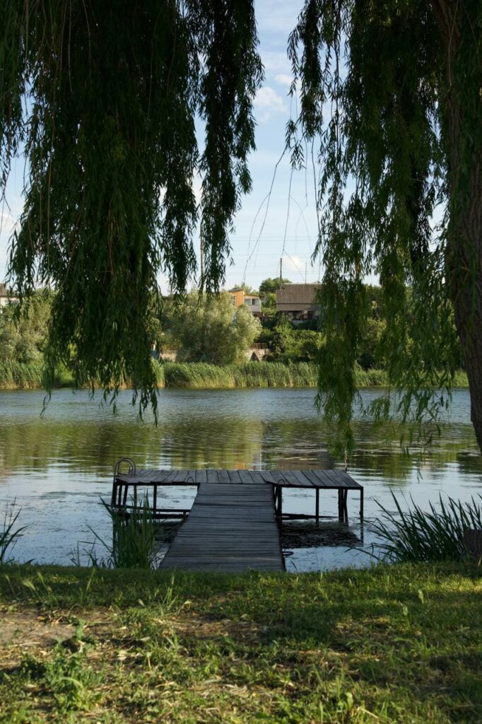 Лавандовий сад біля Запоріжжя