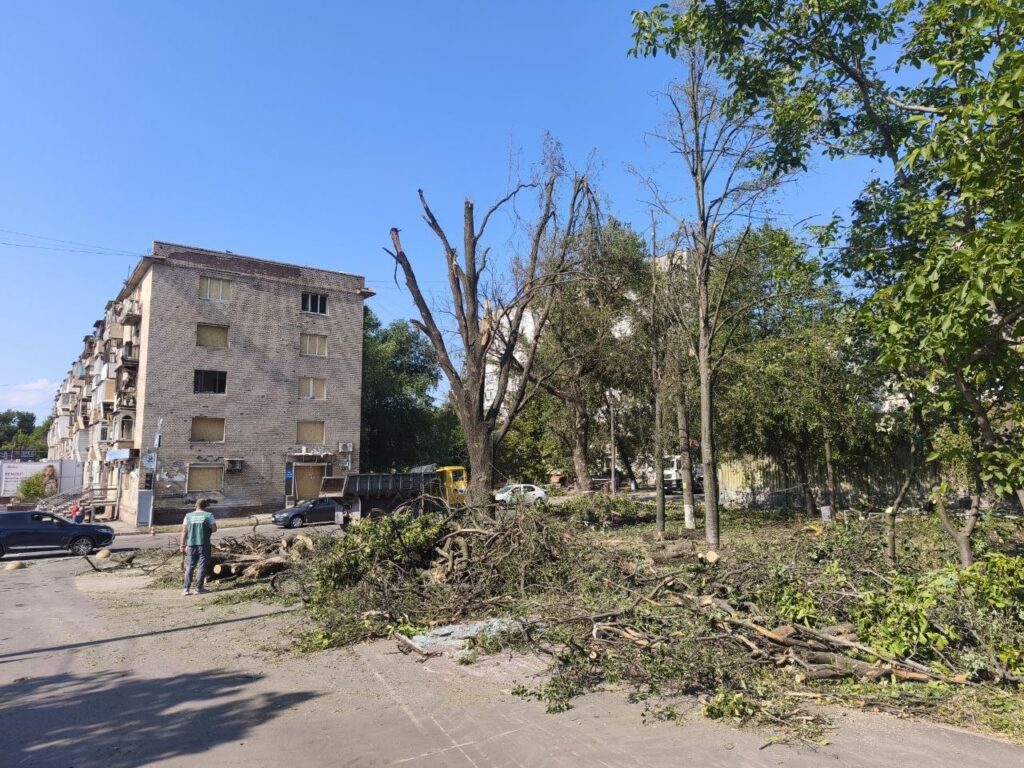 Понад 2900 м² засмічення земель: в екоінспекції озвучили наслідки ворожих атак Запоріжжя, — ФОТО