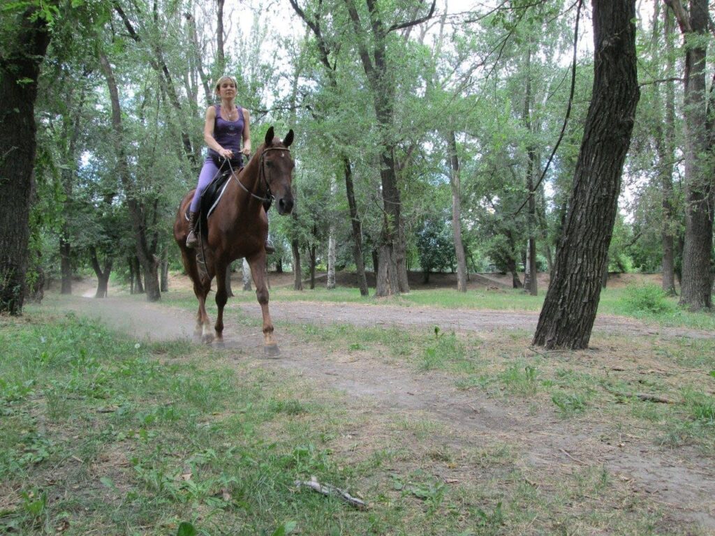 Верхова їзда та іпотерапія в Дубовому гаю в Запоріжжі
