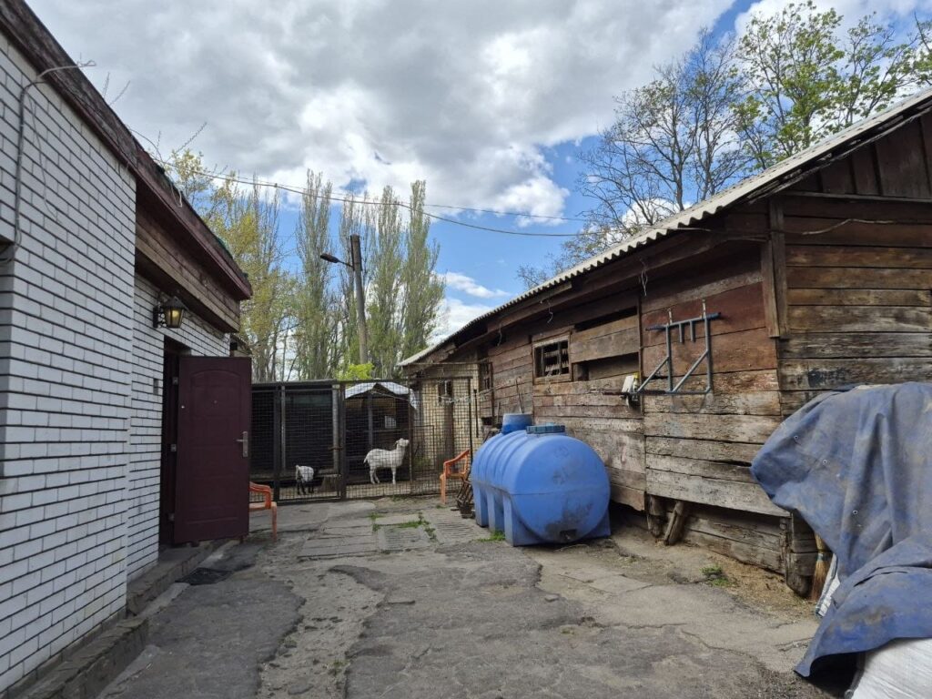 Конюшня в Запоріжжі
