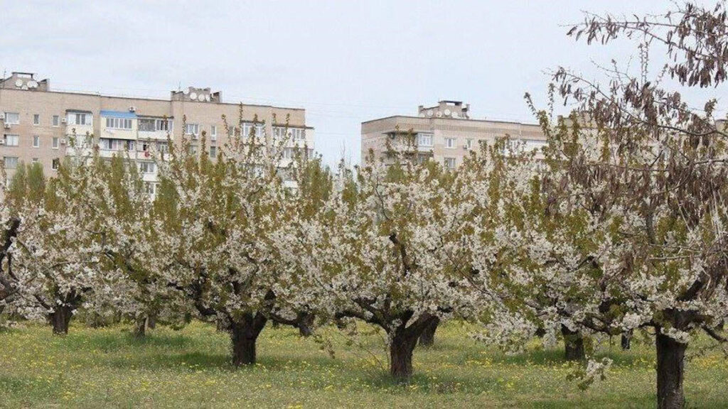 Сади Філібера (Корвацького) в Мелітополі Запорізької області до початку повномасштабного вторгнення Росії в Україну.