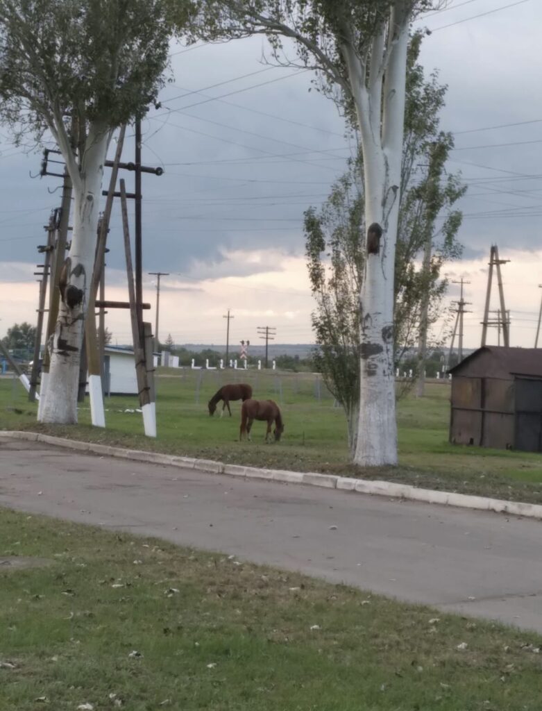 Мала Токмачка до початку російського вторгнення.
